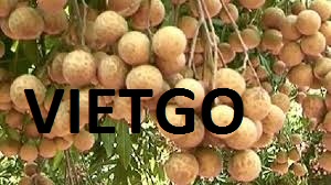 Nhãn-Chôm chôm-Vietgo